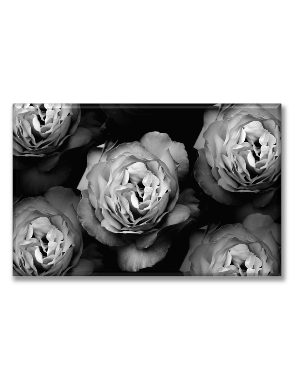 Cuadro decorativo Industria Grafica Ciento 23 Rosas en blanco y negro