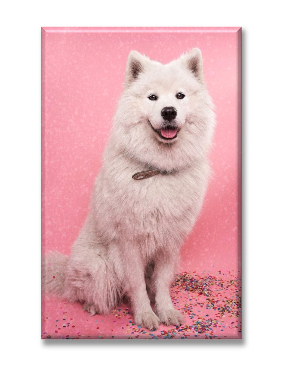 Cuadro decorativo Perro brillantina 1