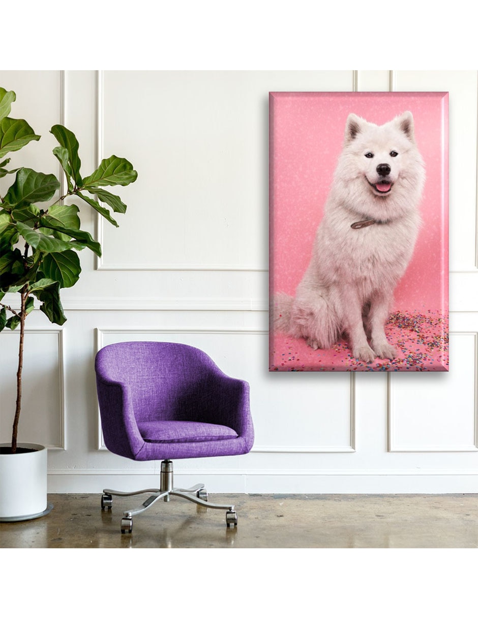 Cuadro decorativo Perro brillantina 5