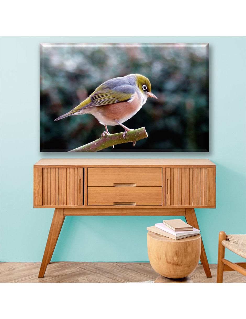 Cuadro decorativo Anteojitos dorsigrís 6