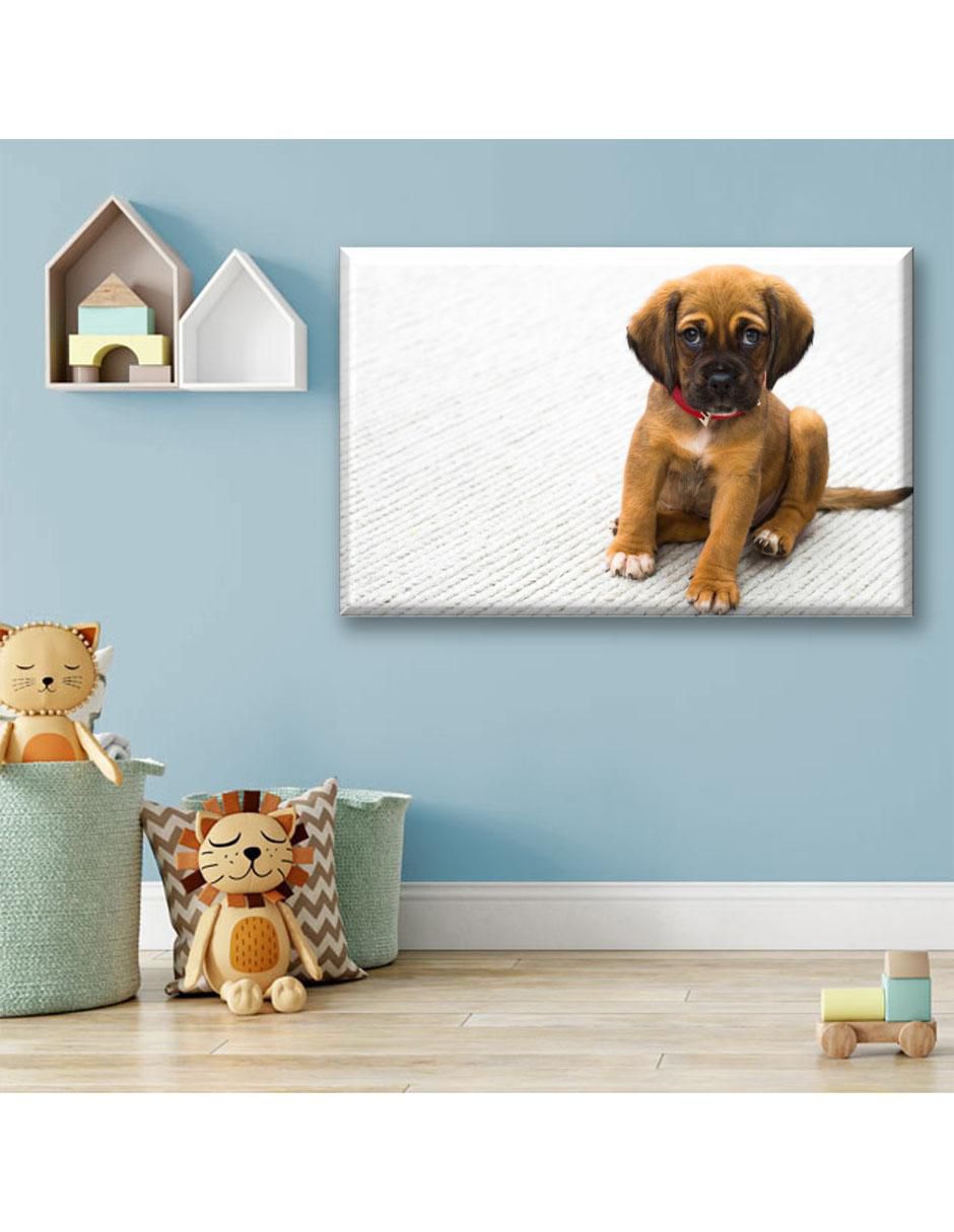 Cuadro decorativo Cachorro bóxer 6