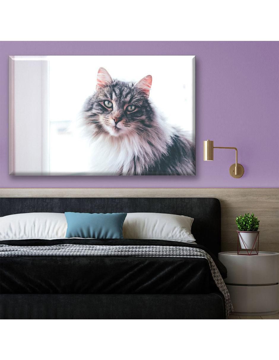 Cuadro decorativo Gato de pelaje largo 6