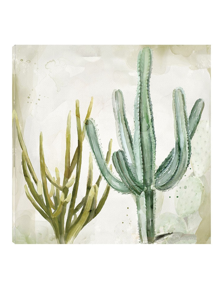 Cuadro decorativo Cactus En Acuarela Ii técnica mixta