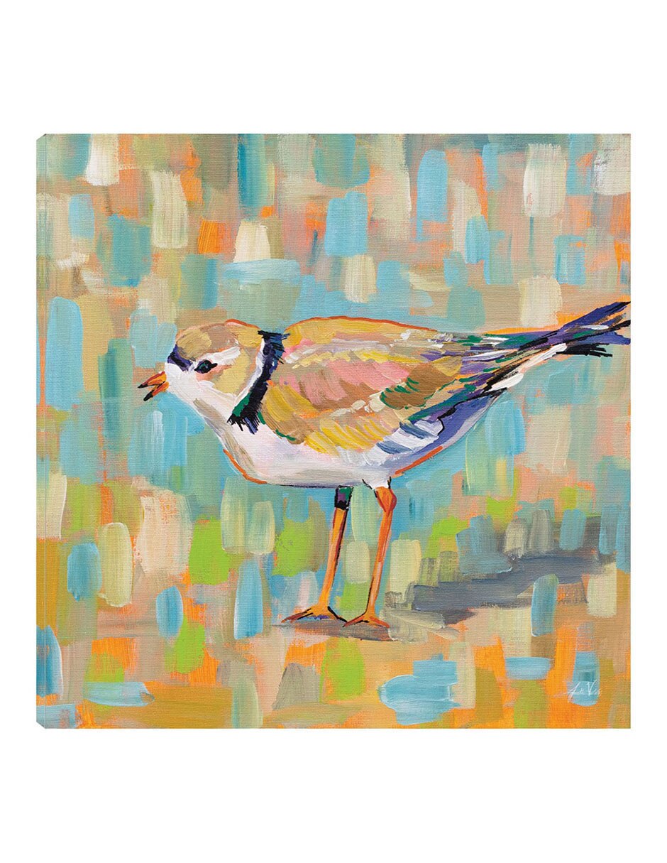 Cuadro decorativo Chorlito Costero Iv técnica mixta Aves Silvestres Cuadro decorativo Chorlito Costero Iv técnica mixta Aves Silvestres