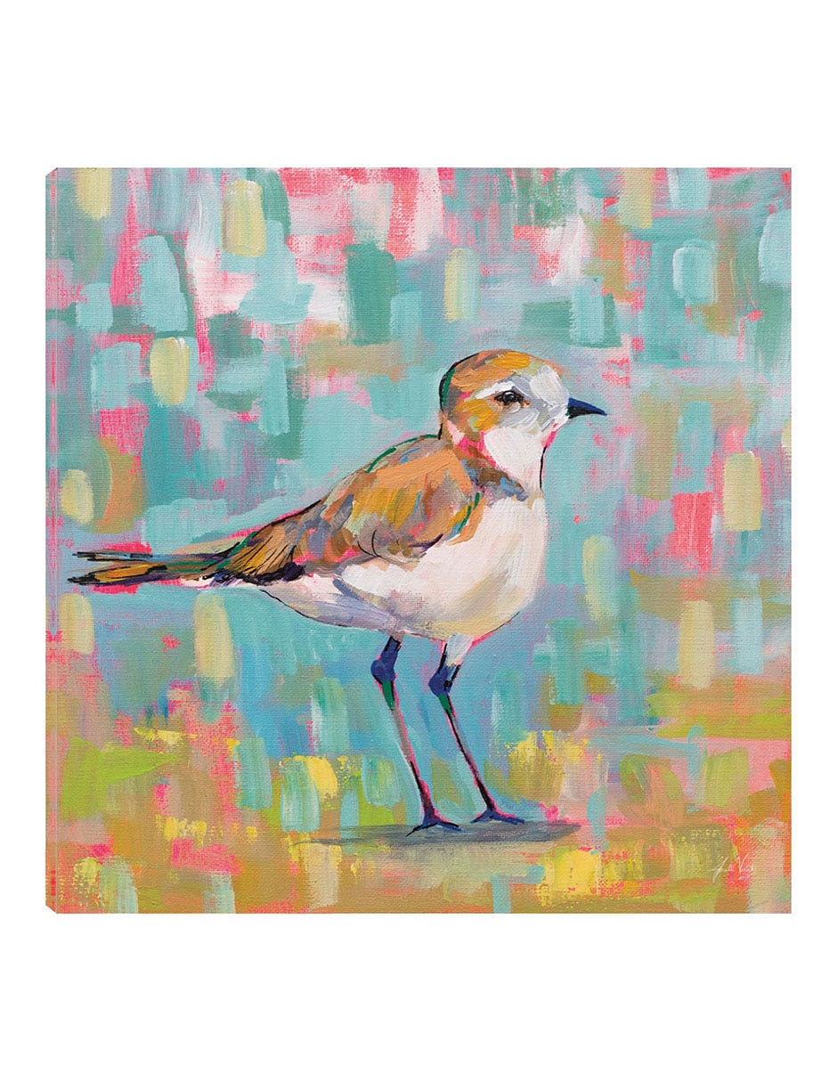 Cuadro decorativo Chorlito Costero Iii técnica mixta Aves Silvestres Cuadro decorativo Chorlito Costero Iii técnica mixta Aves Silvestres