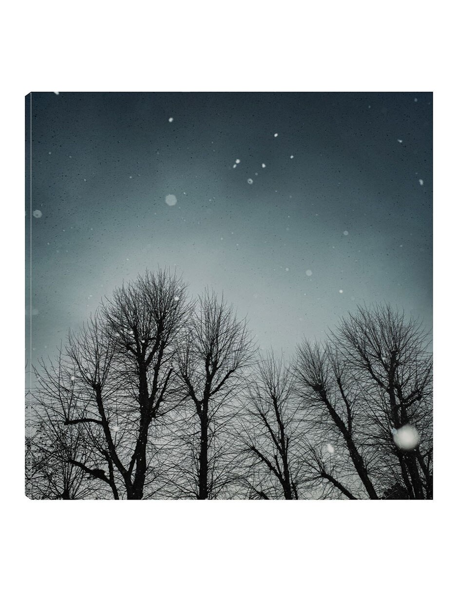 Cuadro decorativo Cielo De Invierno técnica mixta Bosques Cuadro decorativo Cielo De Invierno técnica mixta Bosques