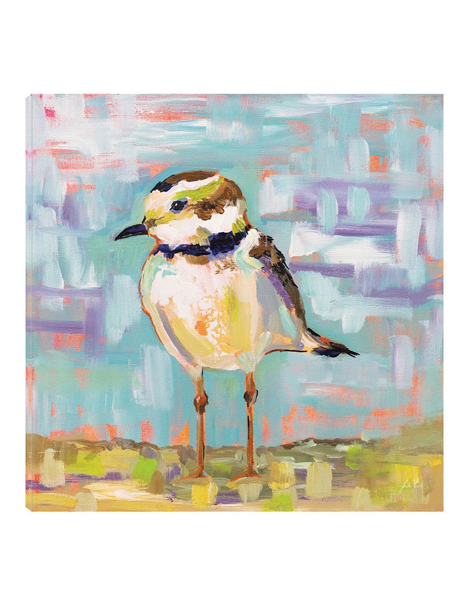 Cuadro decorativo Chorlito Costero Ii técnica mixta Aves Silvestres Cuadro decorativo Chorlito Costero Ii técnica mixta Aves Silvestres