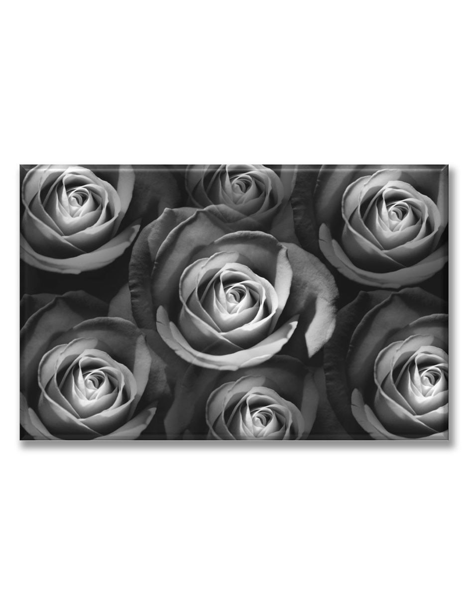 Cuadro decorativo Industria Grafica Ciento 23 Rosas bn