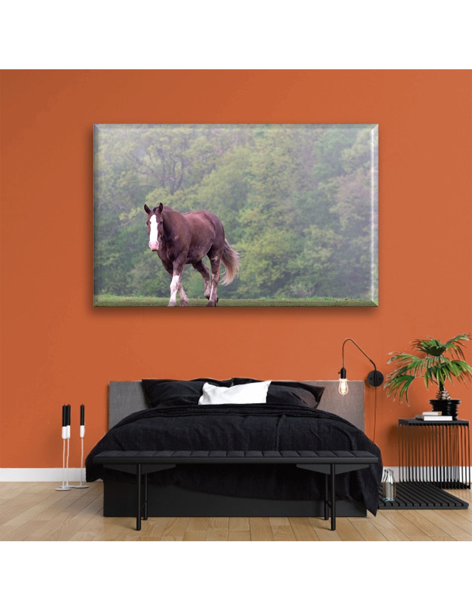 Cuadro decorativo Caballo caminando 5