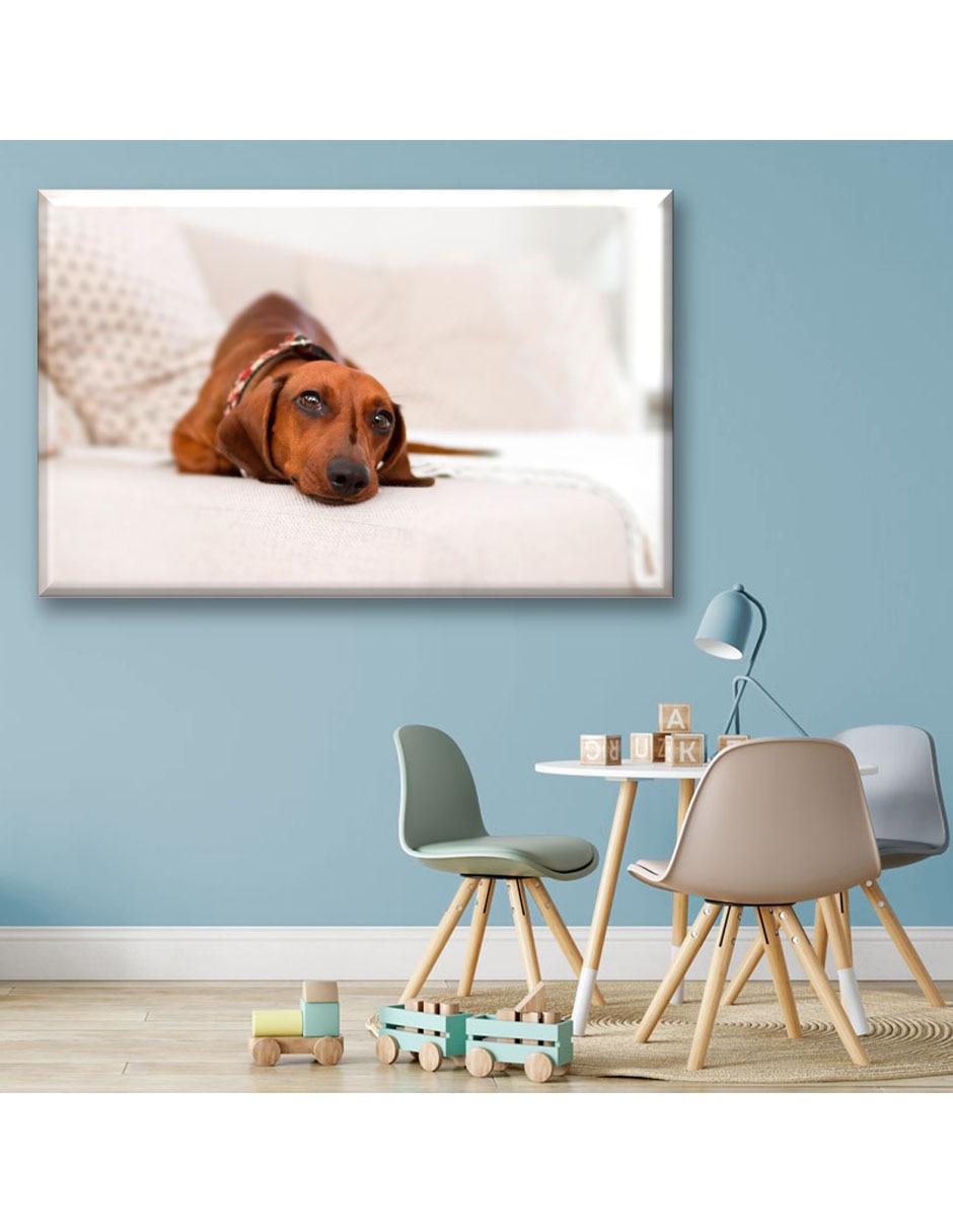 Cuadro decorativo Perrito salchicha 5