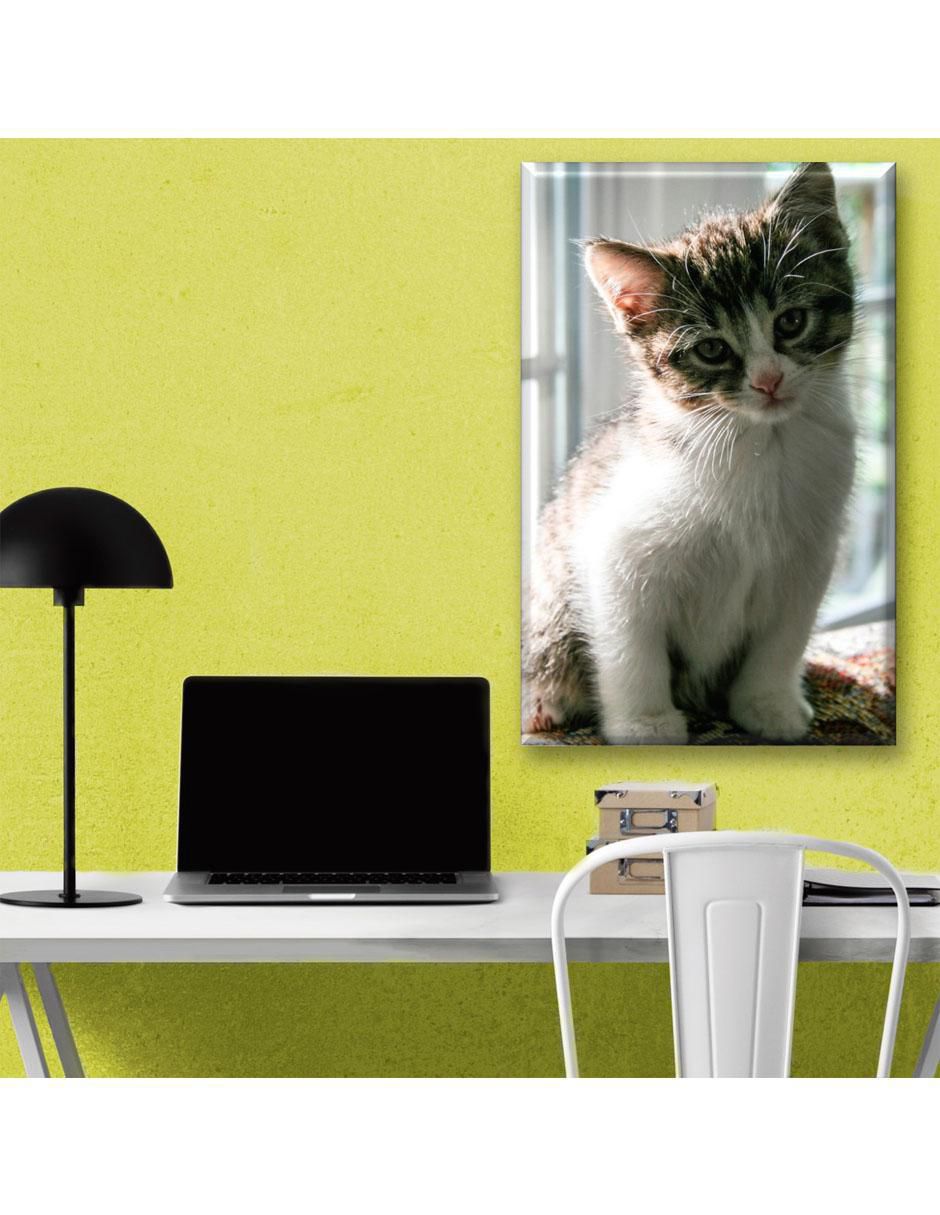 Cuadro decorativo Gatito curioso 6