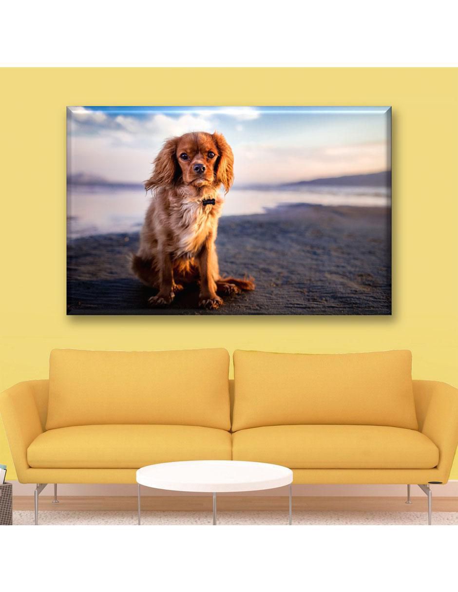 Cuadro decorativo Industria Grafica Ciento 23 Toy spaniel en la playa