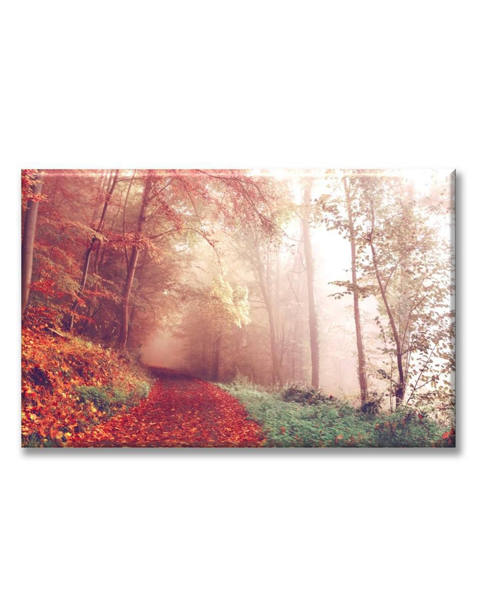 Cuadro decorativo Árboles en la niebla