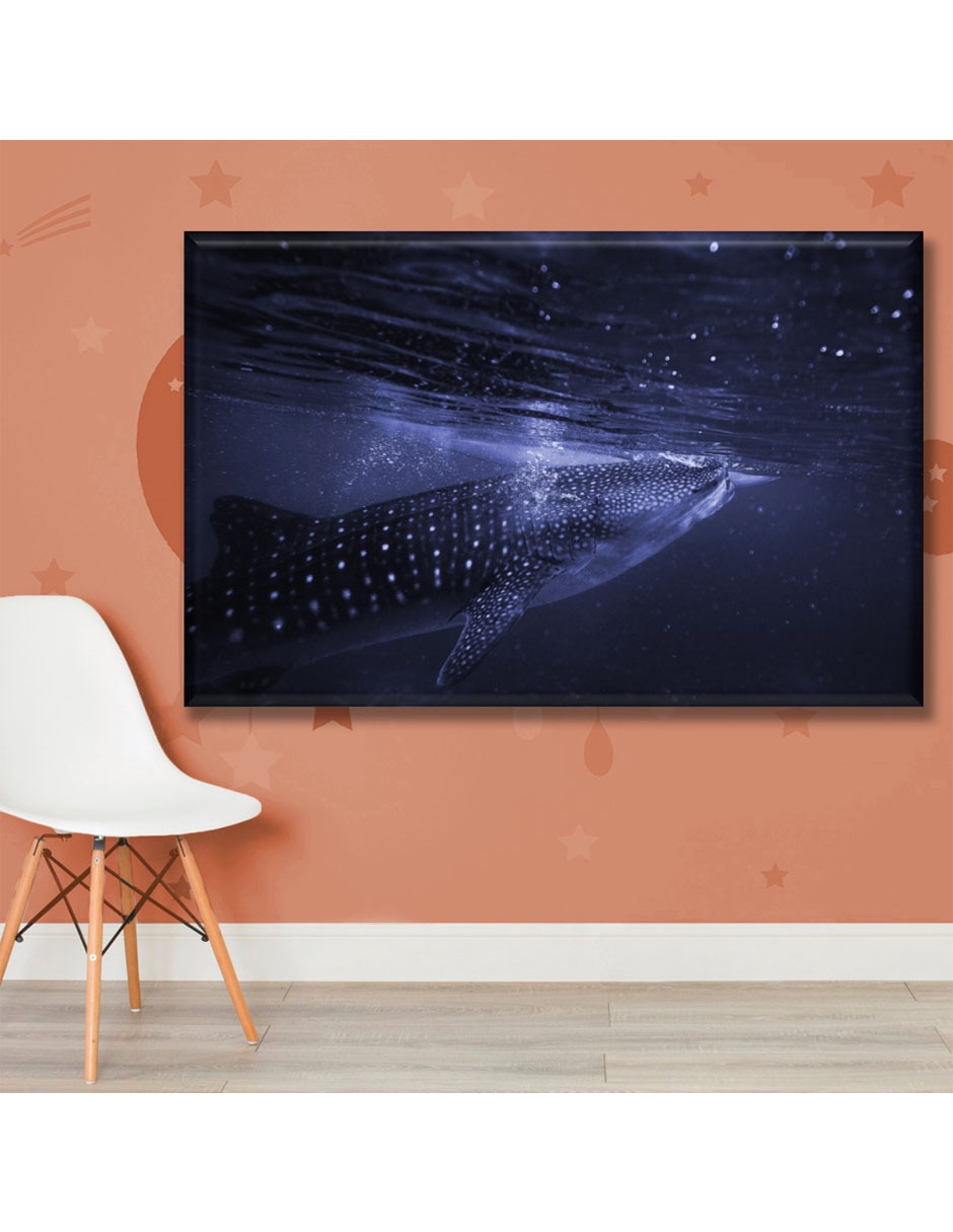 Cuadro decorativo Tiburón ballena 5