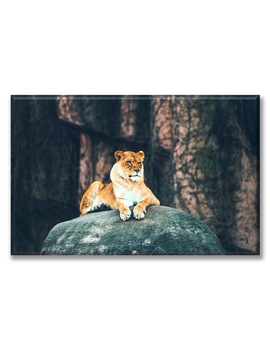 Cuadro decorativo Leona 1