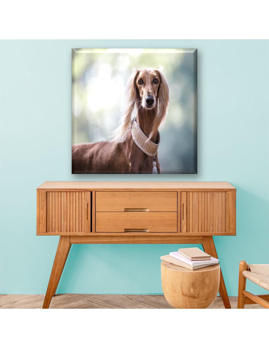 Cuadro decorativo Perro real de Egipto 6
