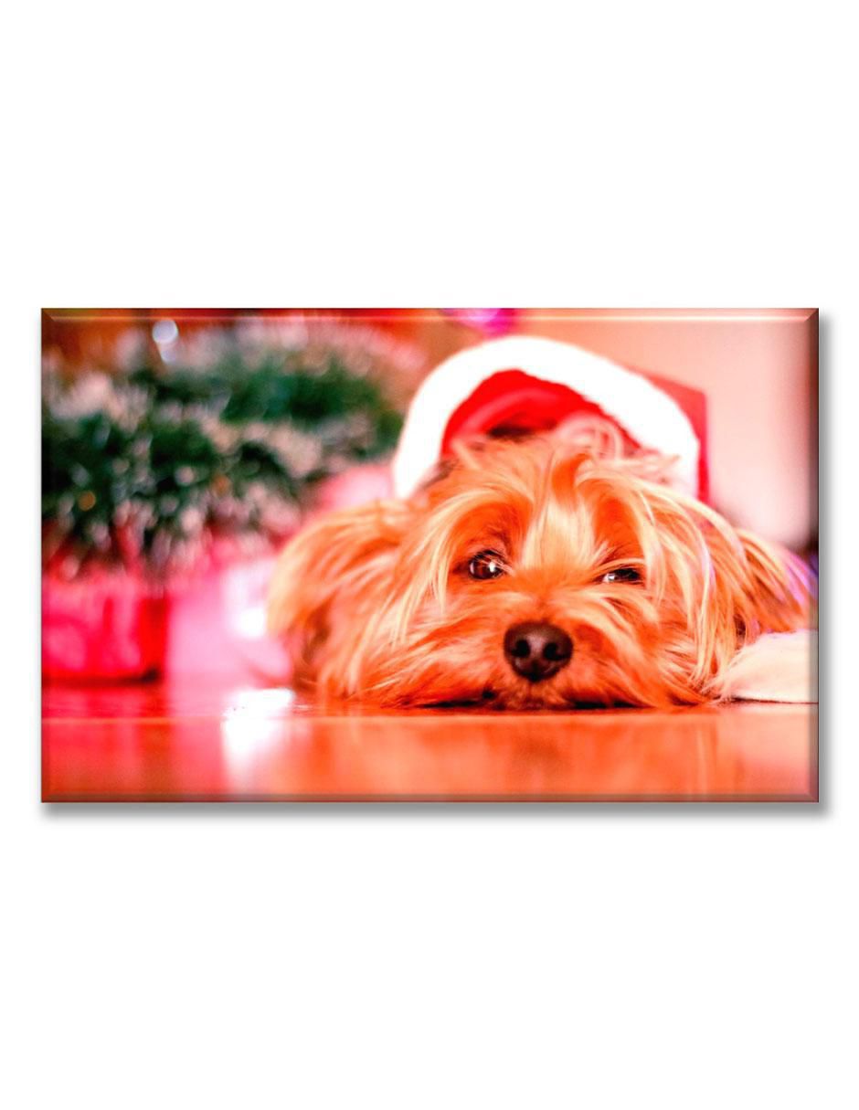 Cuadro decorativo Perrito navideño 1