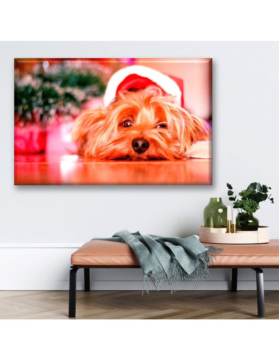 Cuadro decorativo Perrito navideño 6