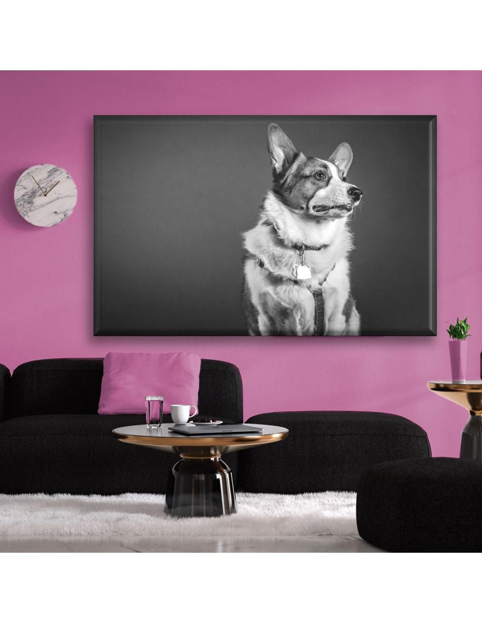 Cuadro decorativo Corgi 6