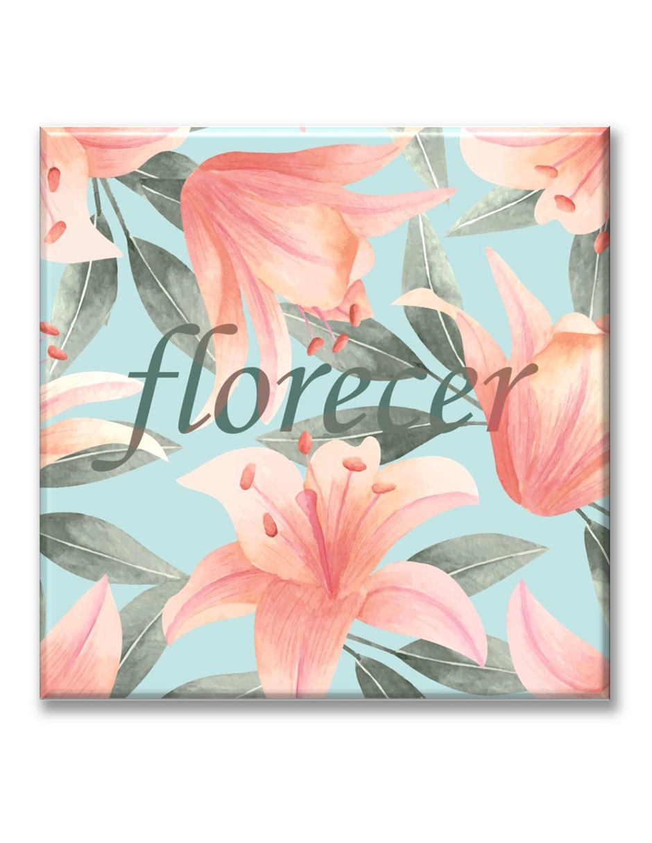Cuadro decorativo Florecer 1