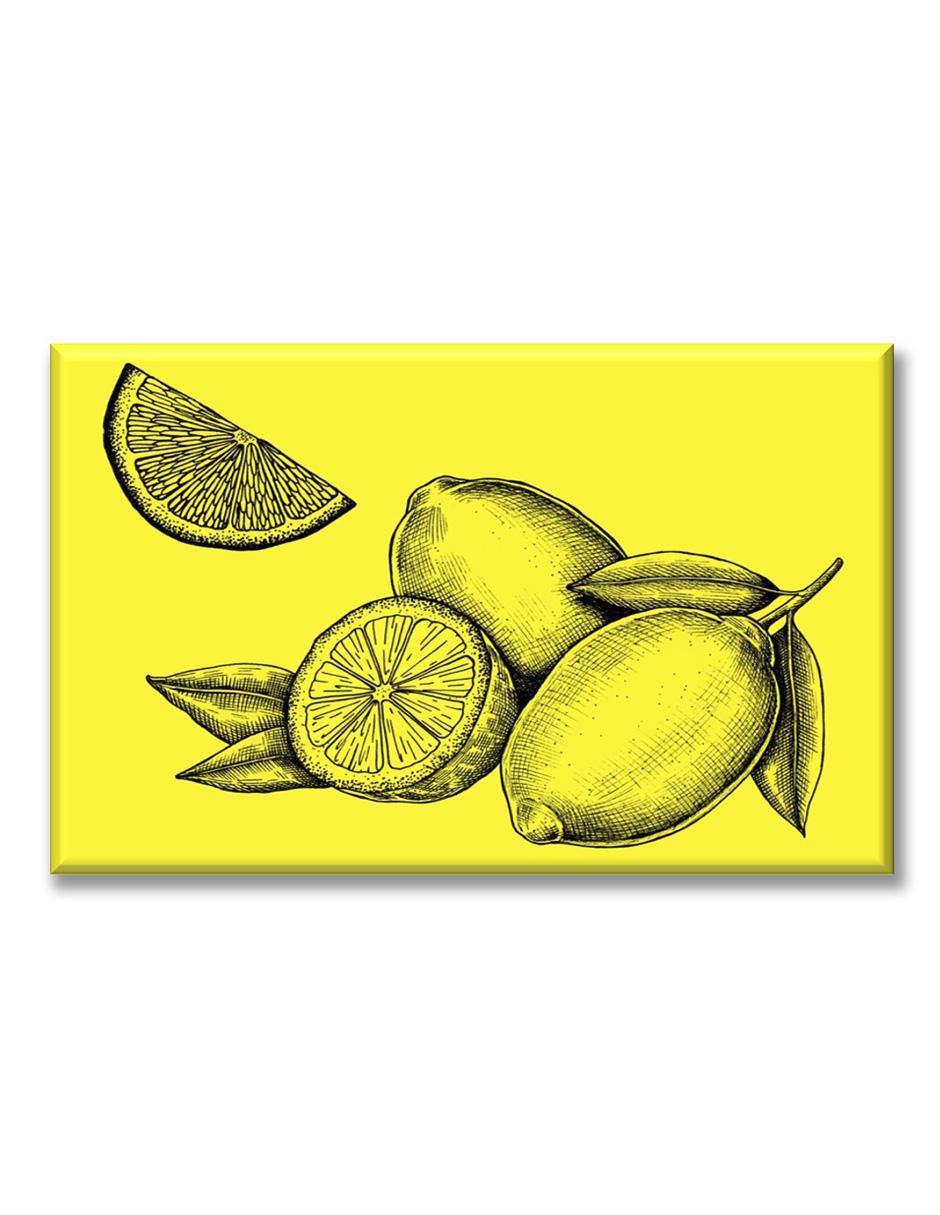 Cuadro decorativo Limones a lápiz 1