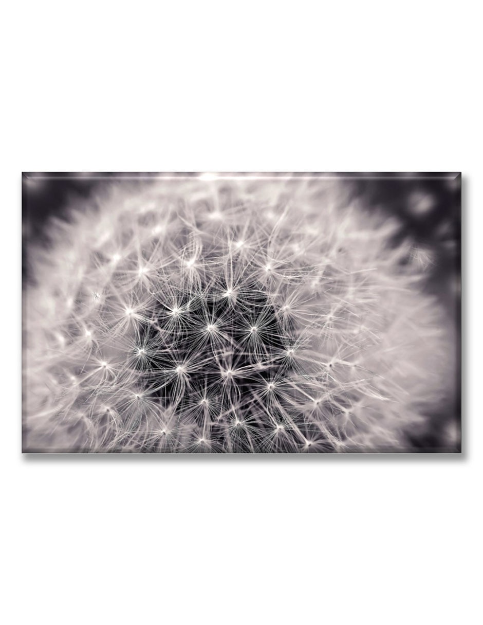 Cuadro decorativo Diente de leon 1