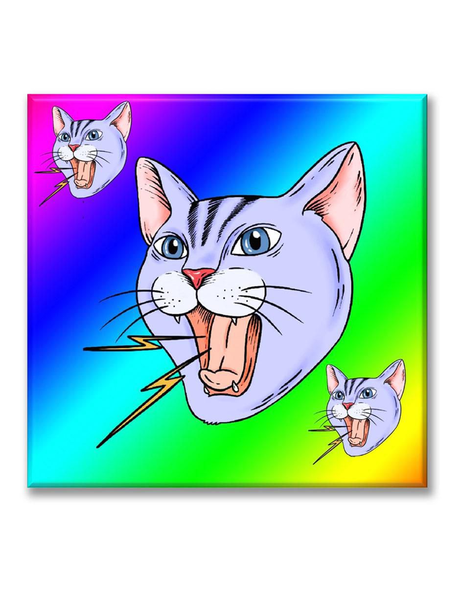 Cuadro decorativo Gato rayo 1