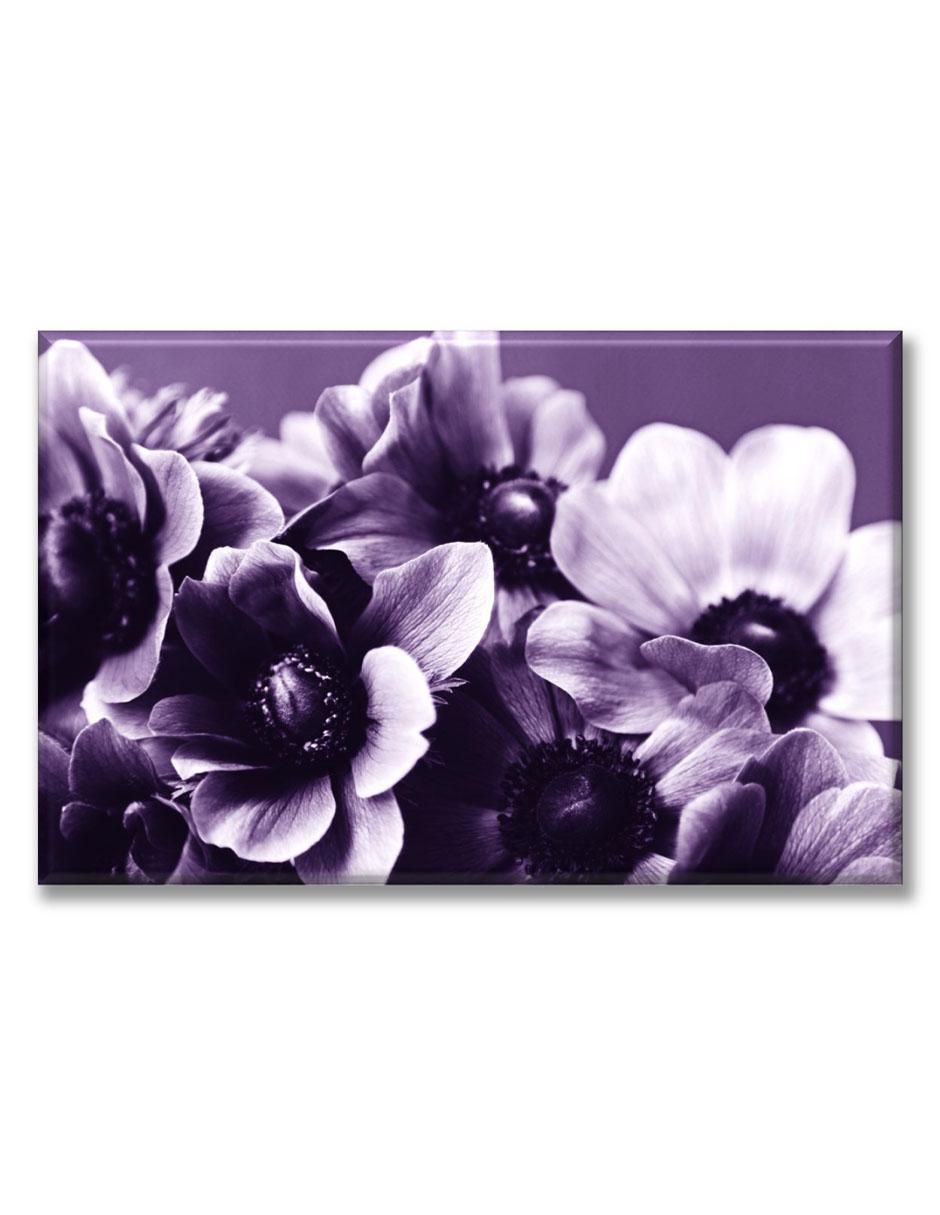 Cuadro decorativo Flores elegantes 1