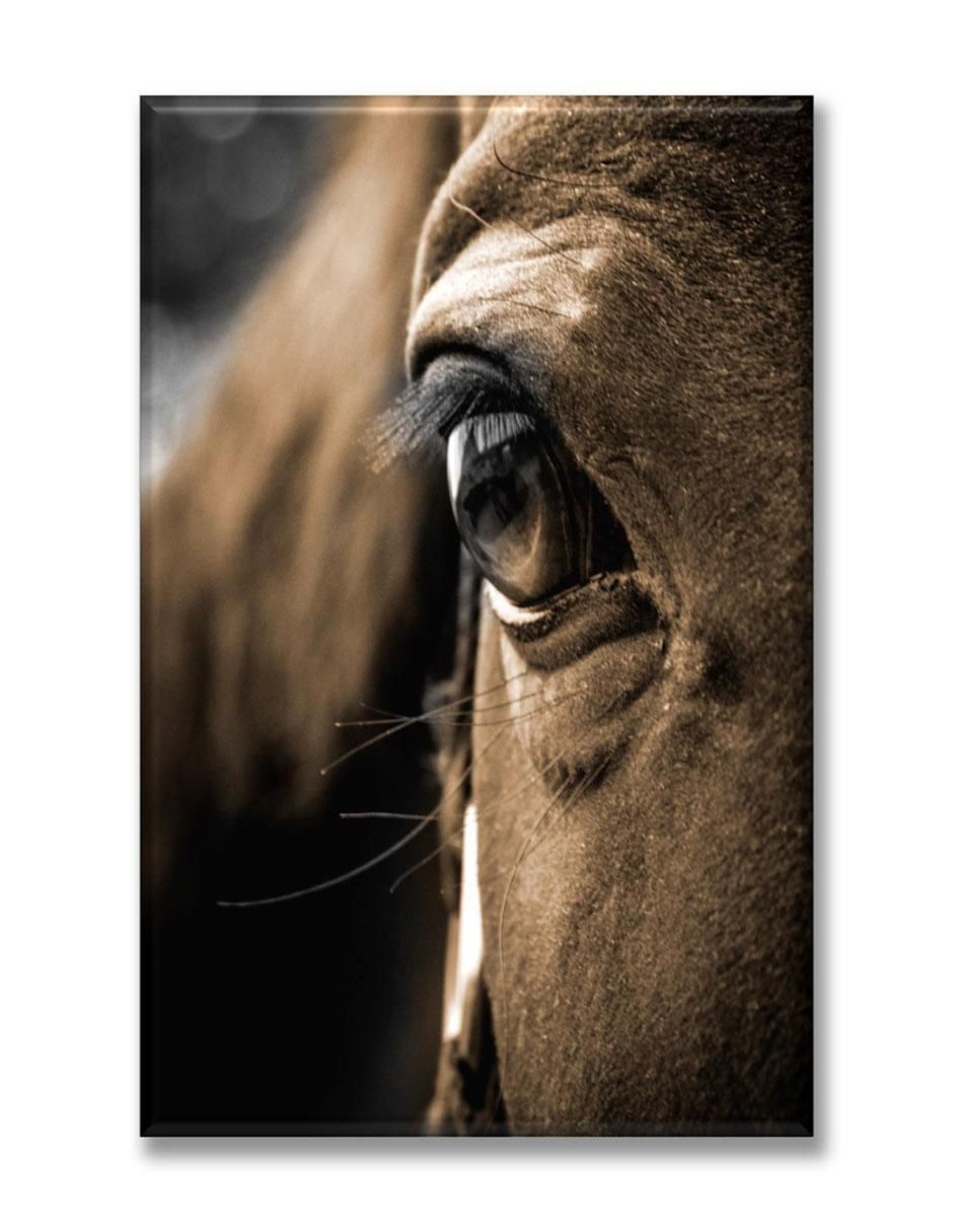 Cuadro decorativo Ojo de caballo 1