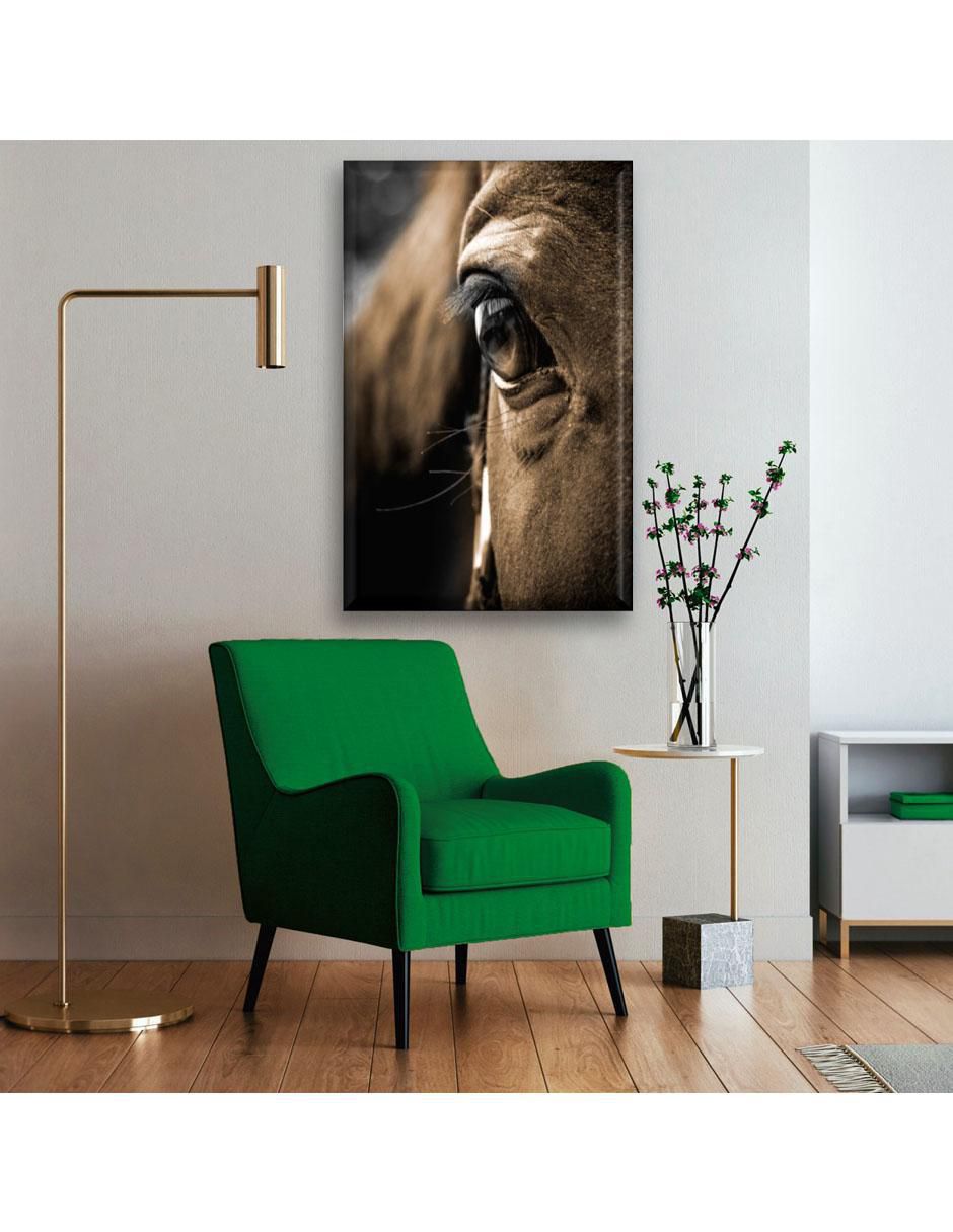 Cuadro decorativo Ojo de caballo 5