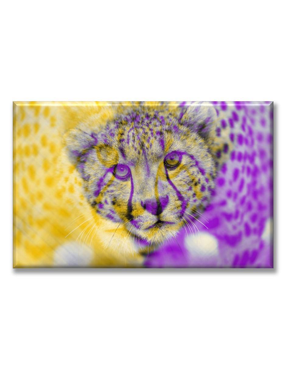 Cuadro decorativo Industria Grafica Ciento 23 Leopardo colores