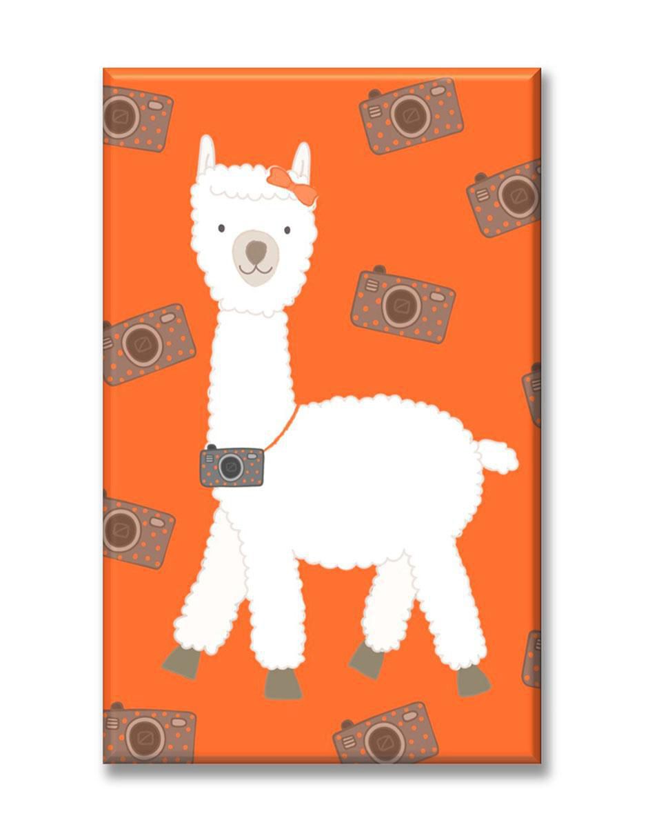 Cuadro decorativo Llama fotógrafa 1