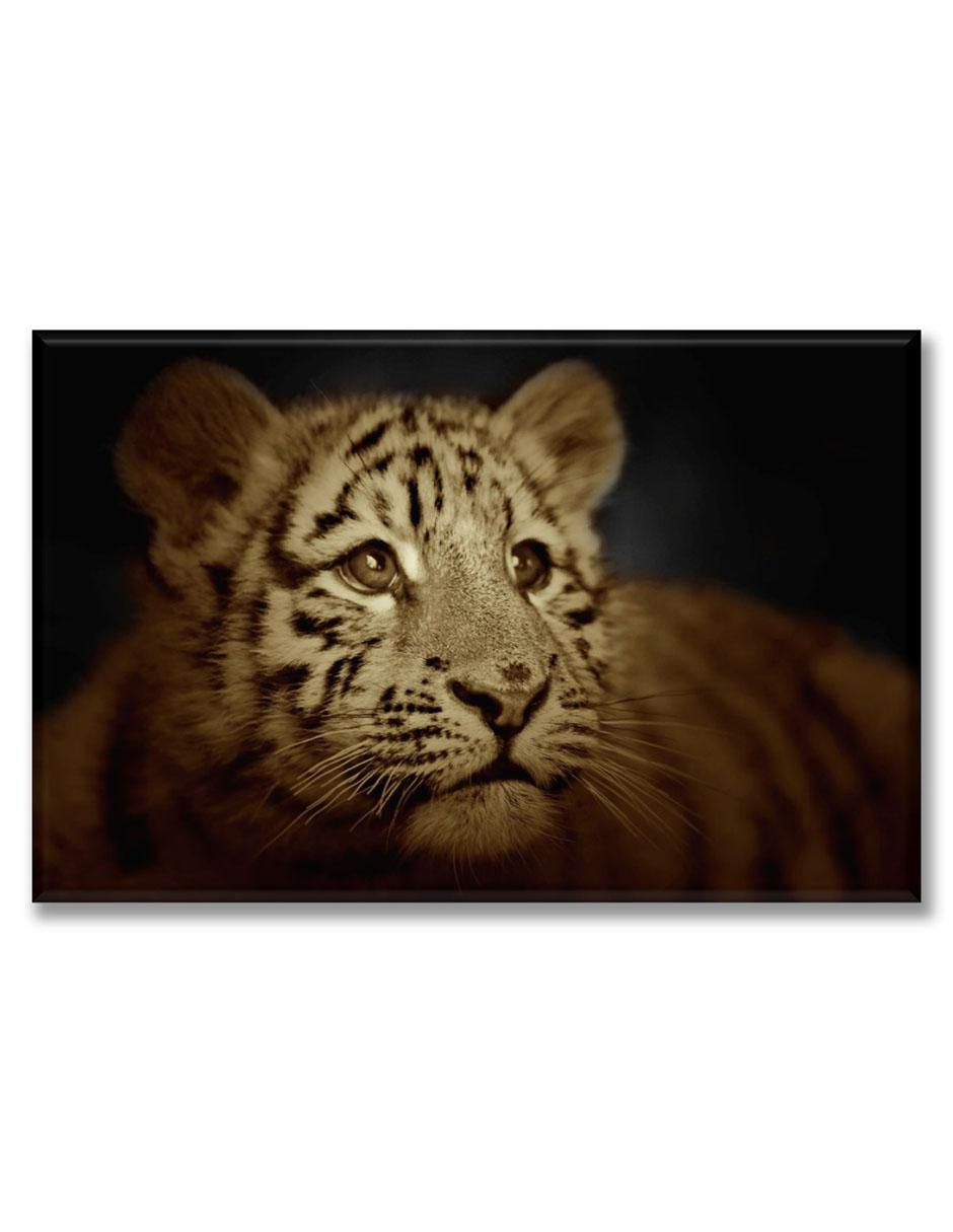 Cuadro decorativo Tigre cachorro 1