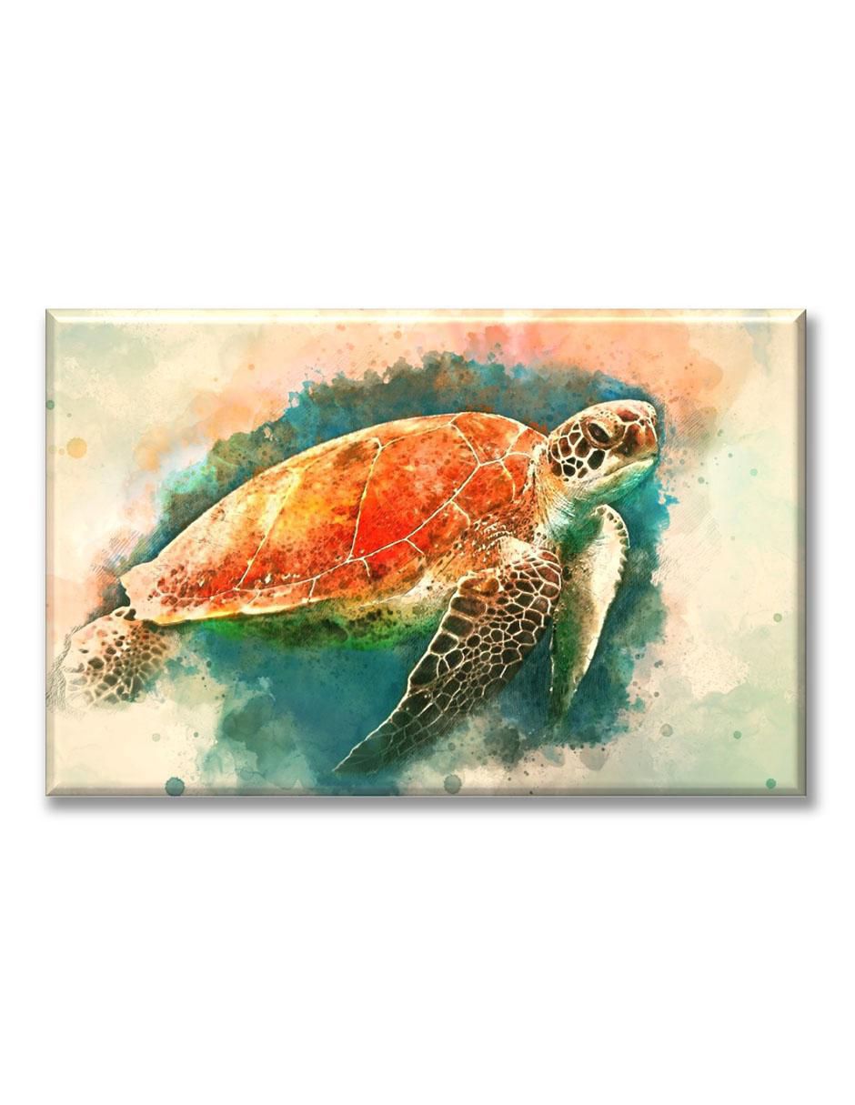 Cuadro decorativo Tortuga acuarela 1