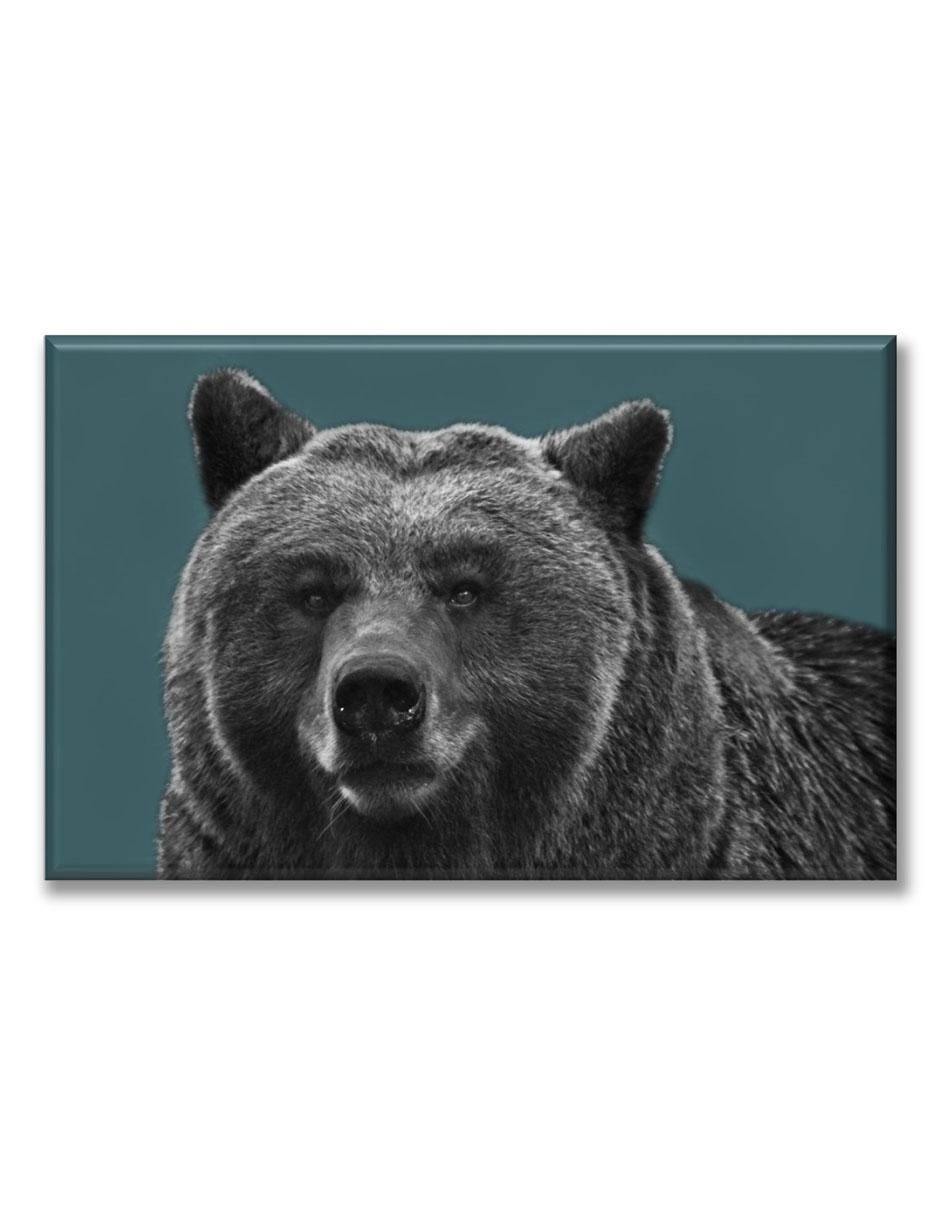 Cuadro decorativo Industria Grafica Ciento 23 Oso pardo