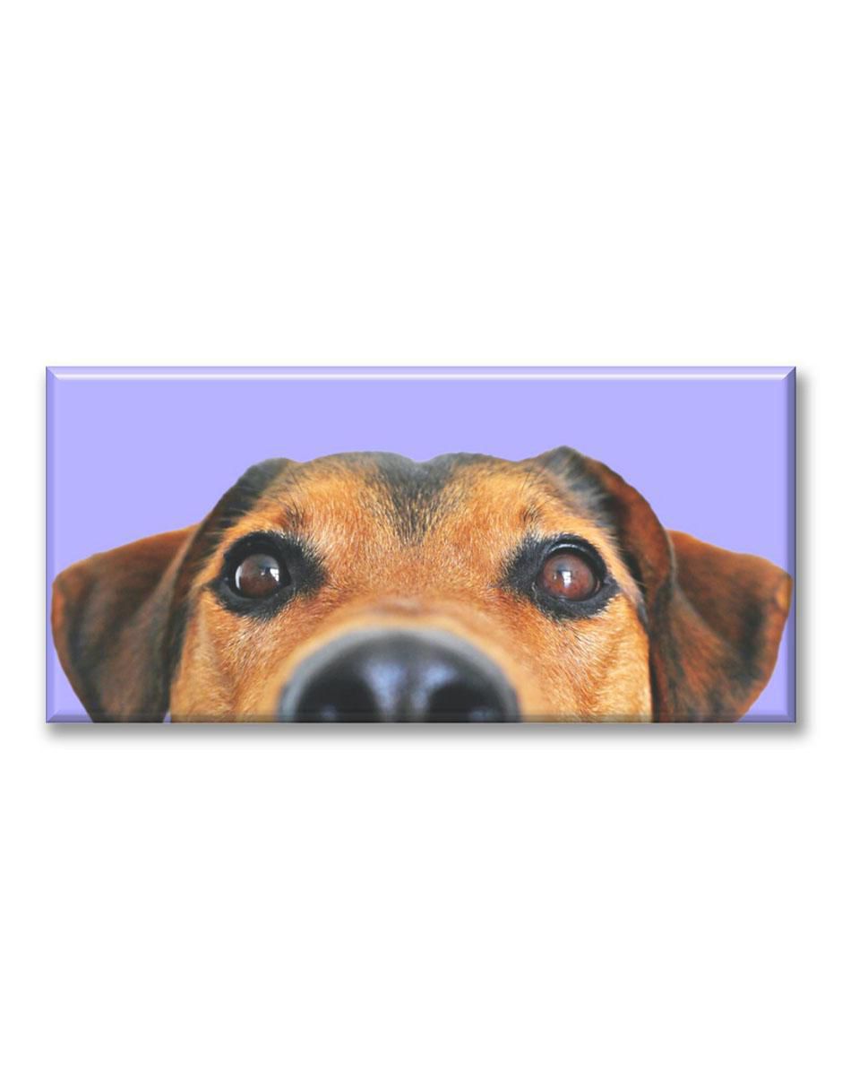 Cuadro decorativo Nariz de perro 1