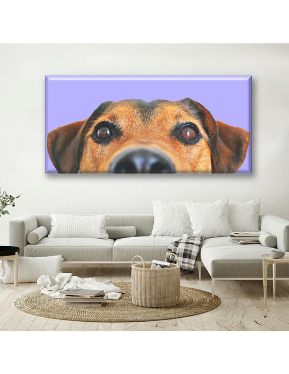 Cuadro decorativo Nariz de perro 5