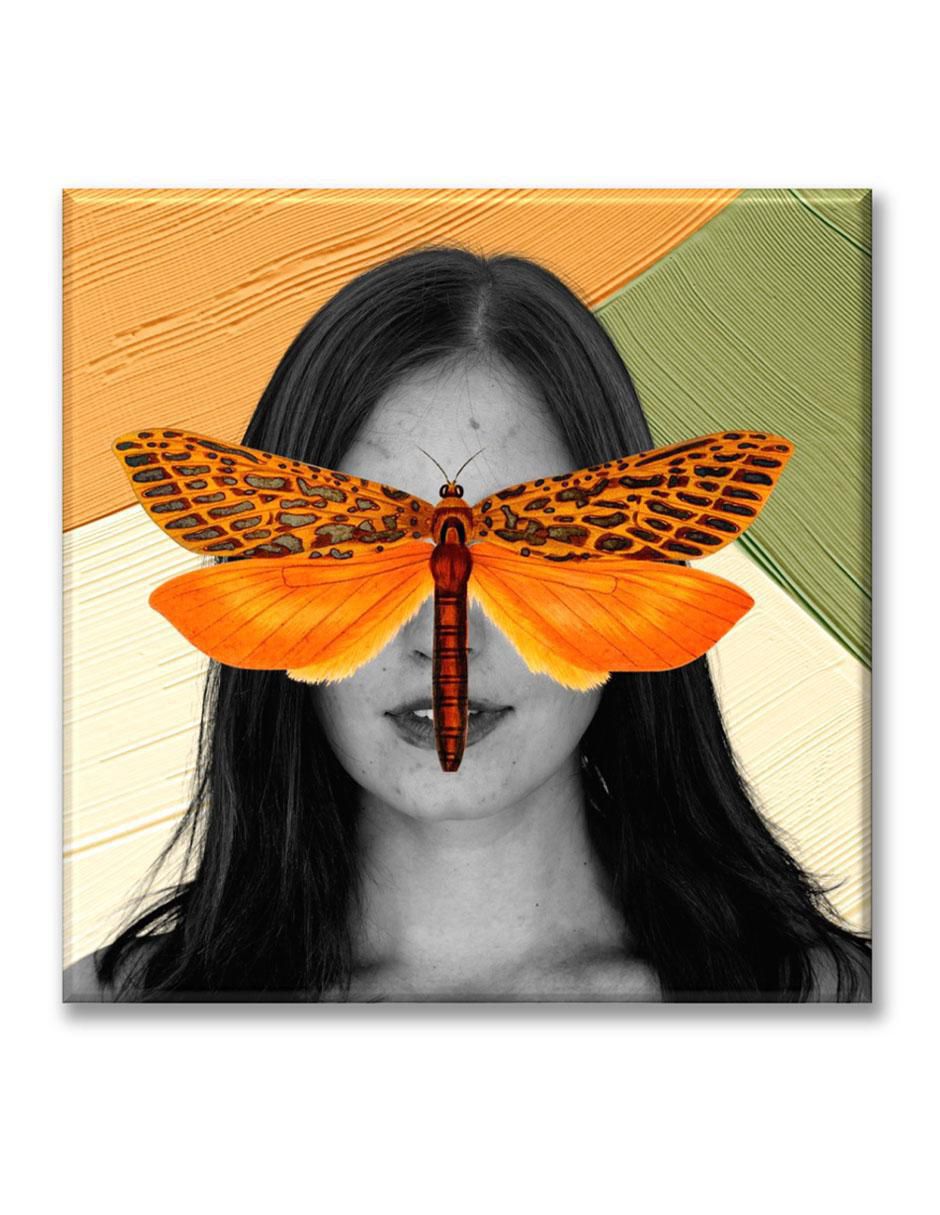 Cuadro decorativo Ojos mariposa 1