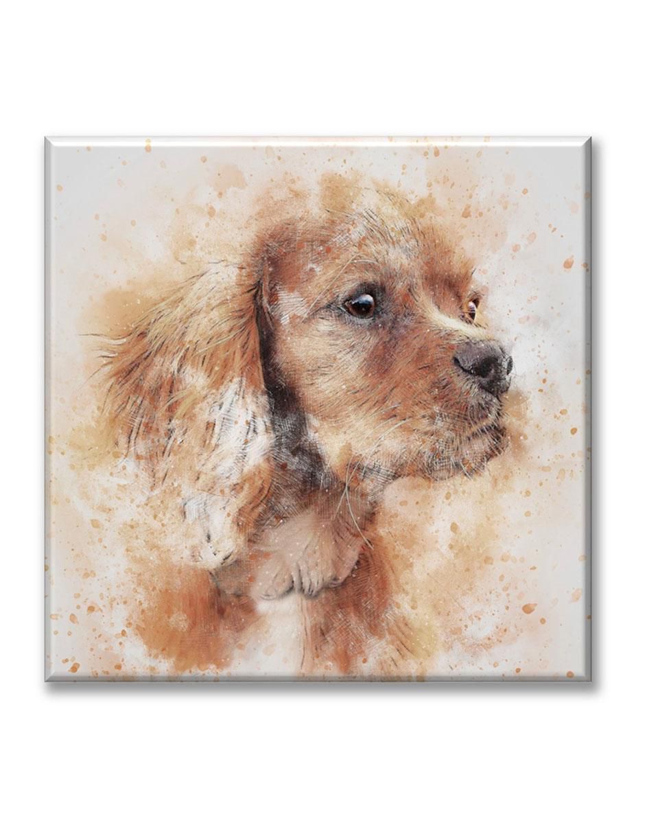 Cuadro decorativo Perro pintado 1