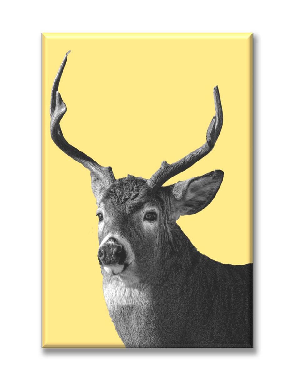 Cuadro decorativo Venado byn 1