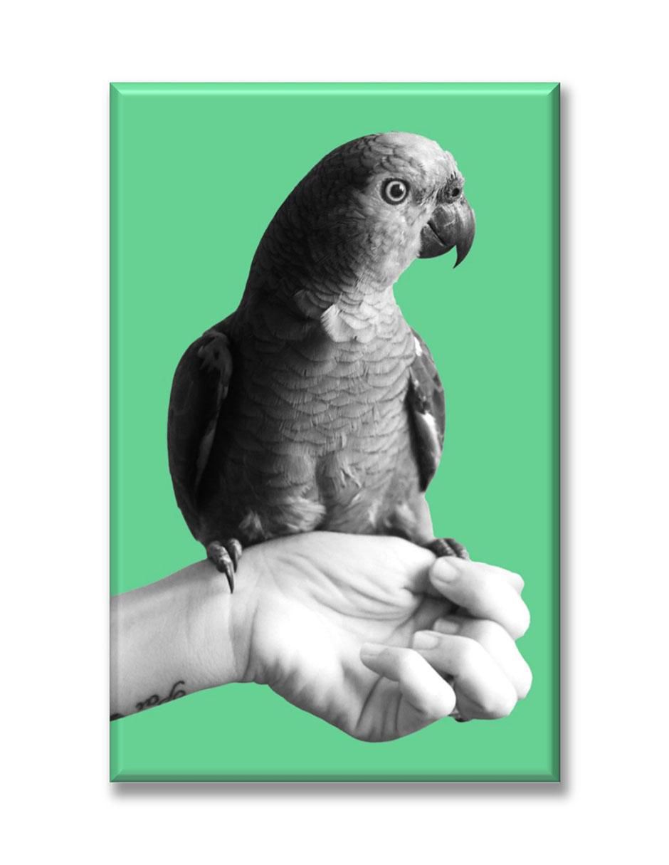 Cuadro decorativo Periquito byn 1