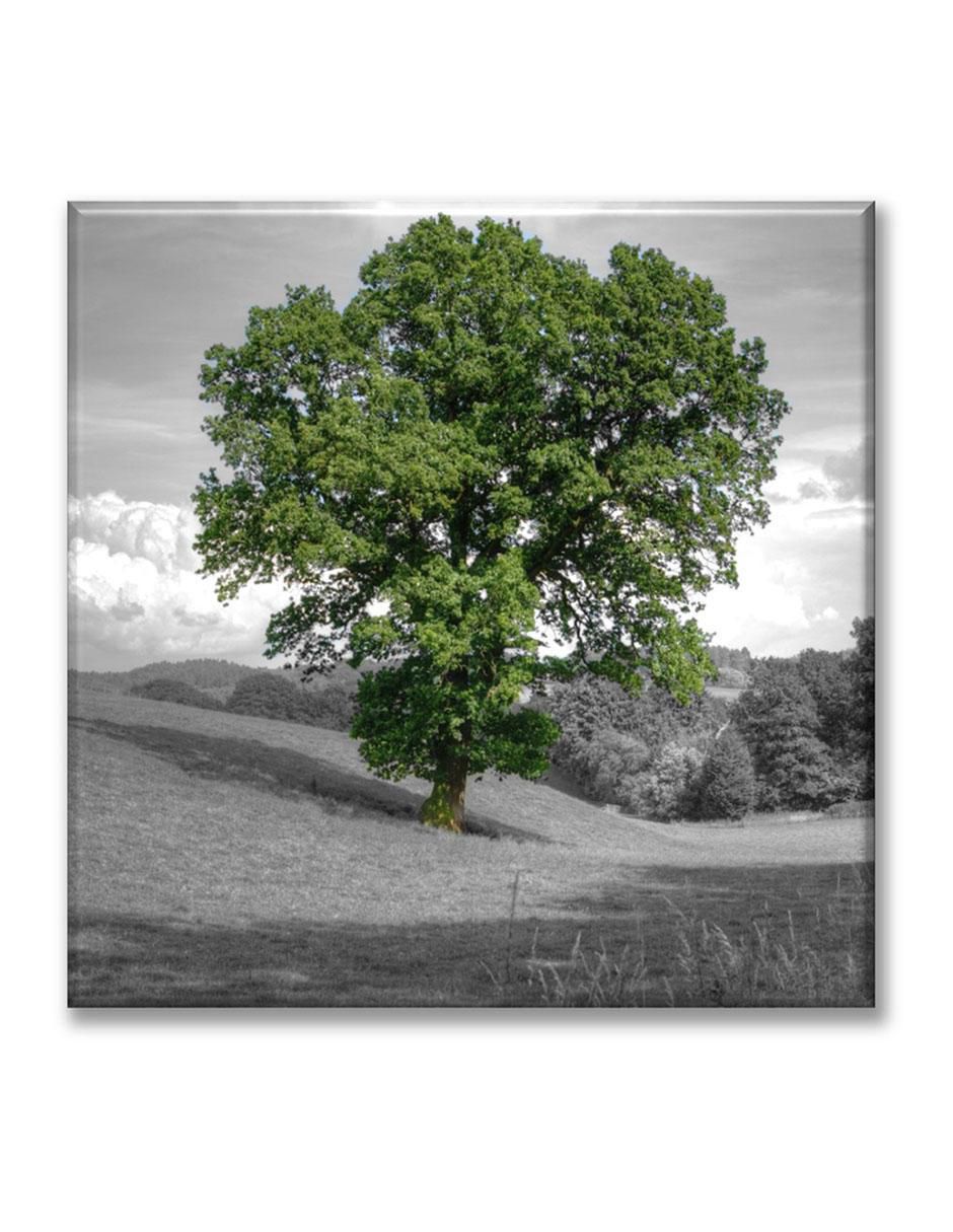 Cuadro decorativo Industria Grafica Ciento 23 Árbol