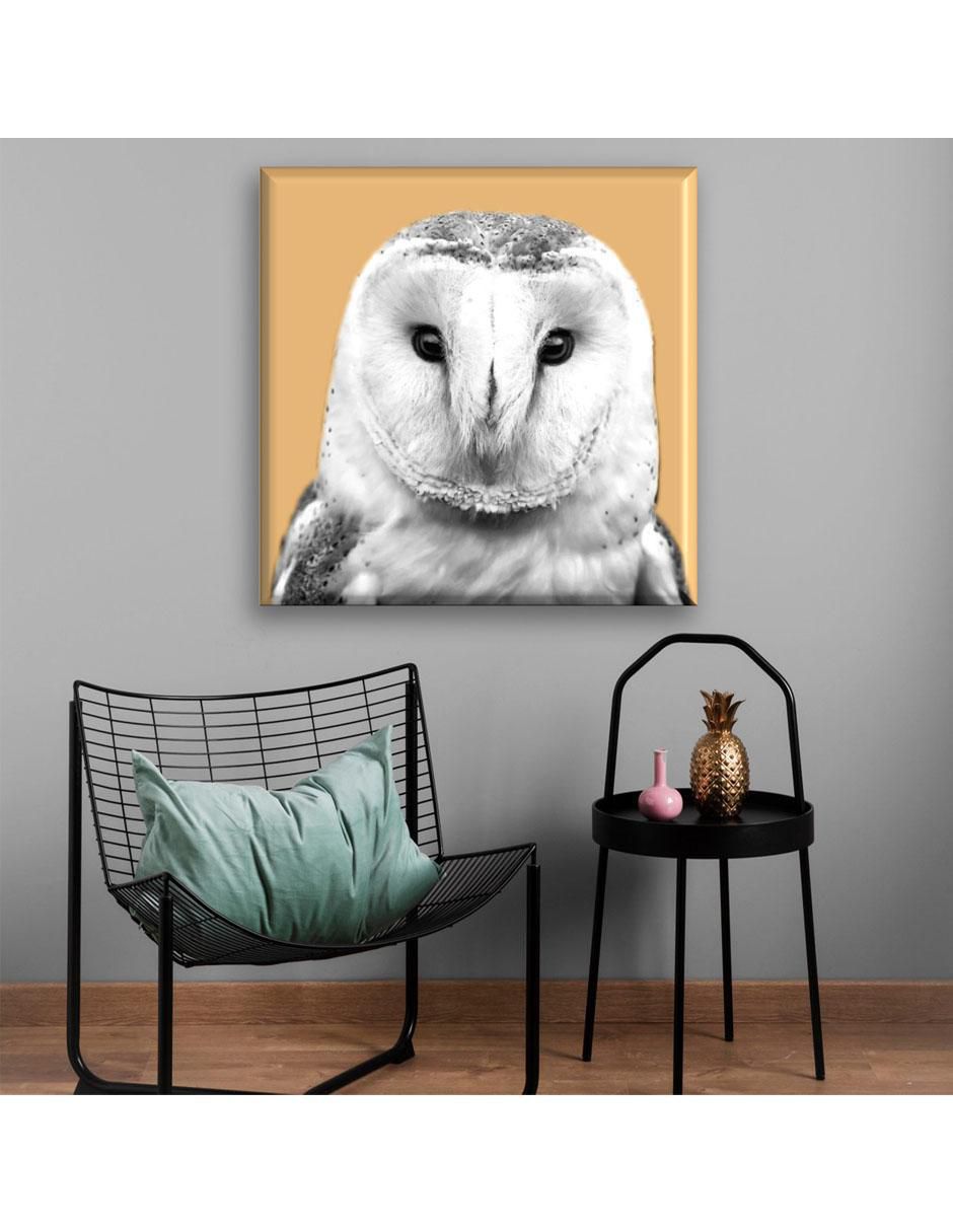 Cuadro decorativo Lechuza 5