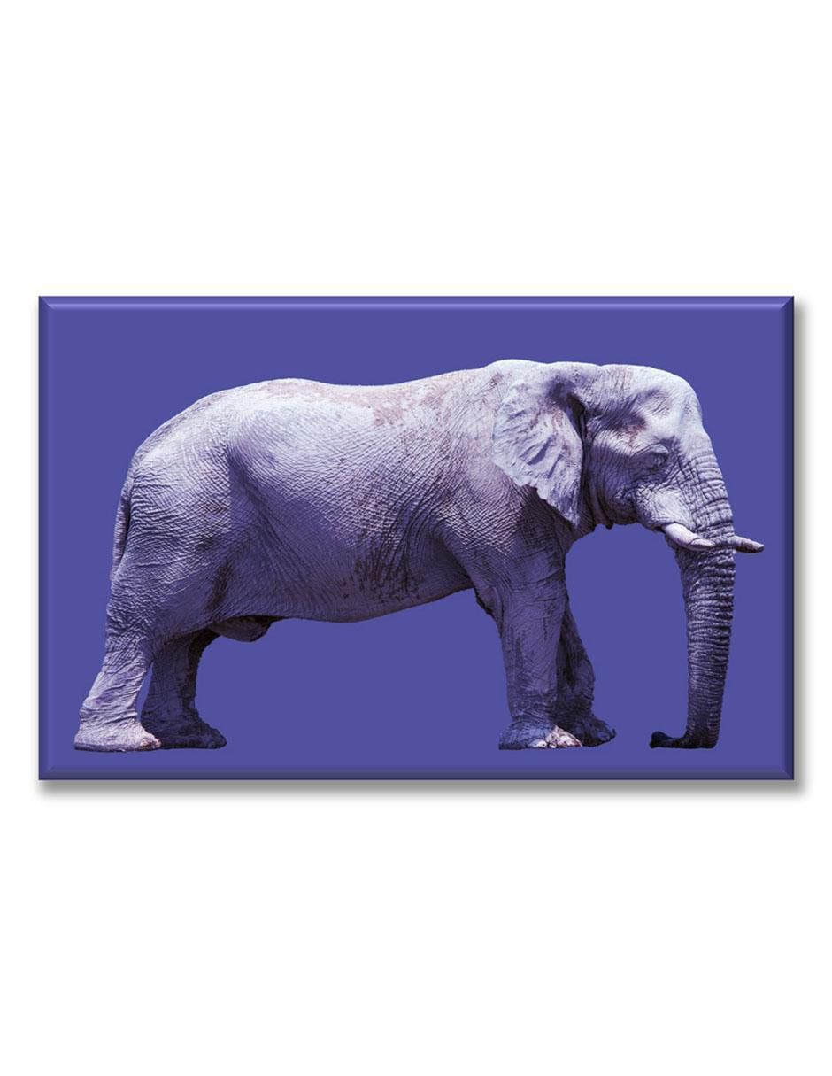 Cuadro decorativo Elefante 1