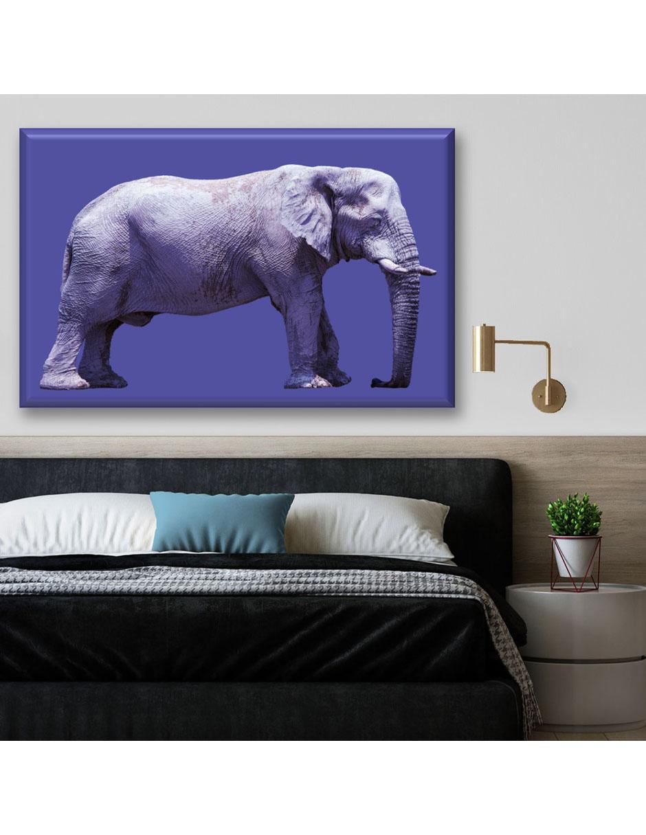 Cuadro decorativo Elefante 5