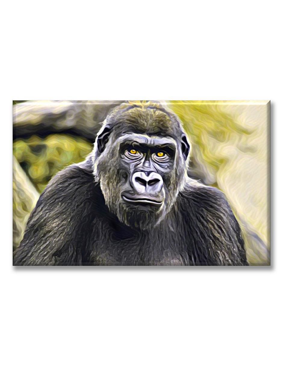 Cuadro decorativo Gorila 1