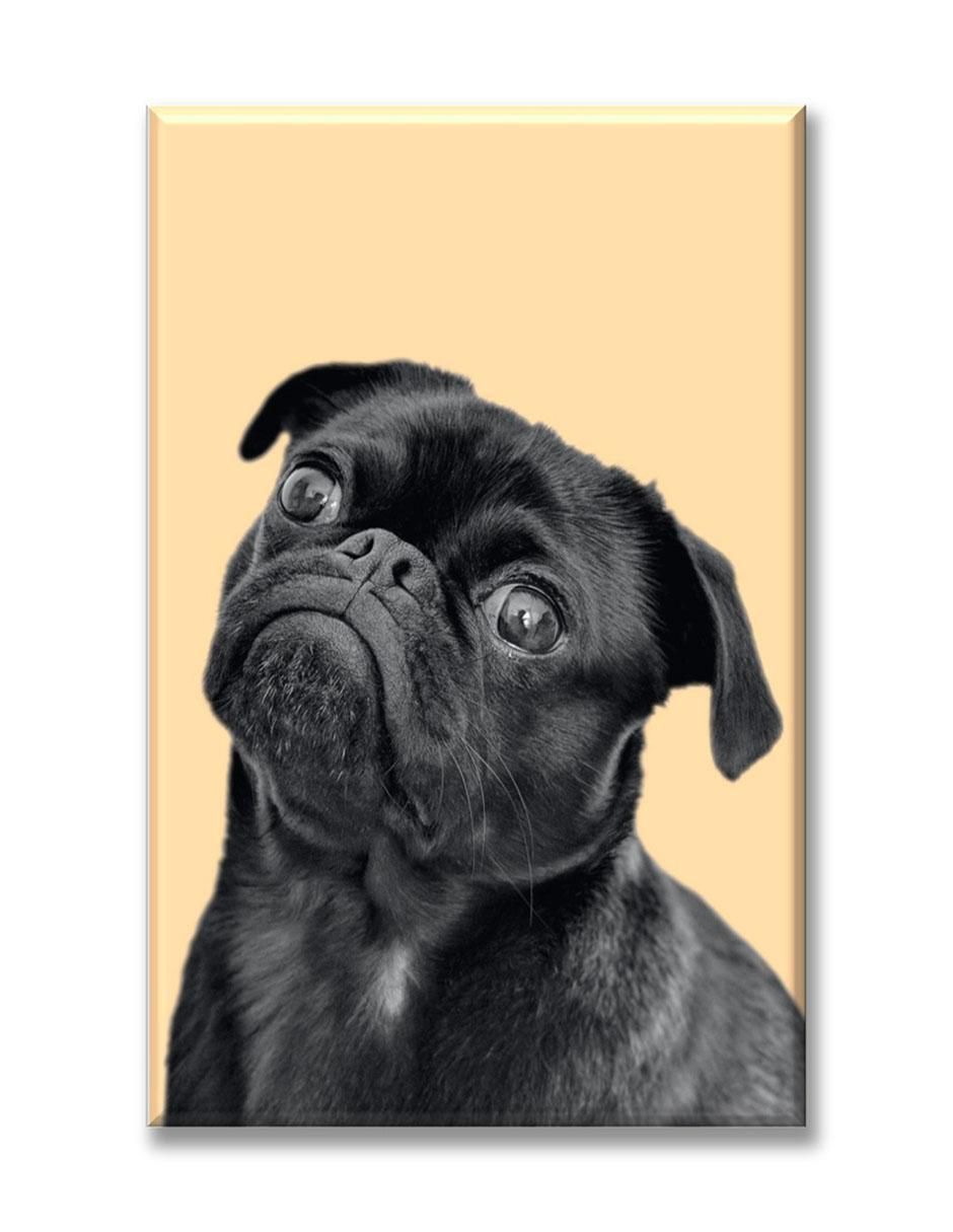 Cuadro decorativo Pug negro