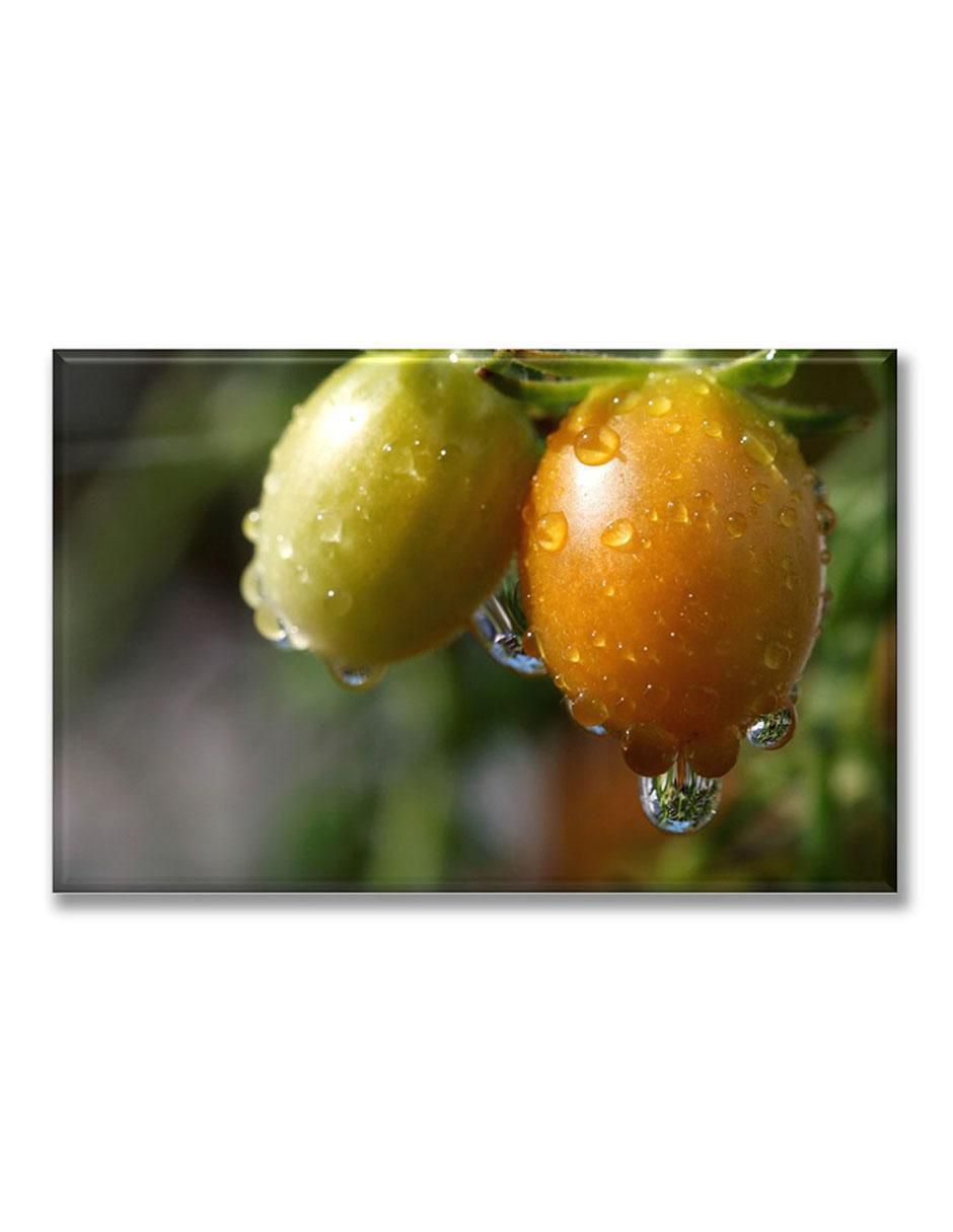 Cuadro decorativo Cosecha de jitomates 1
