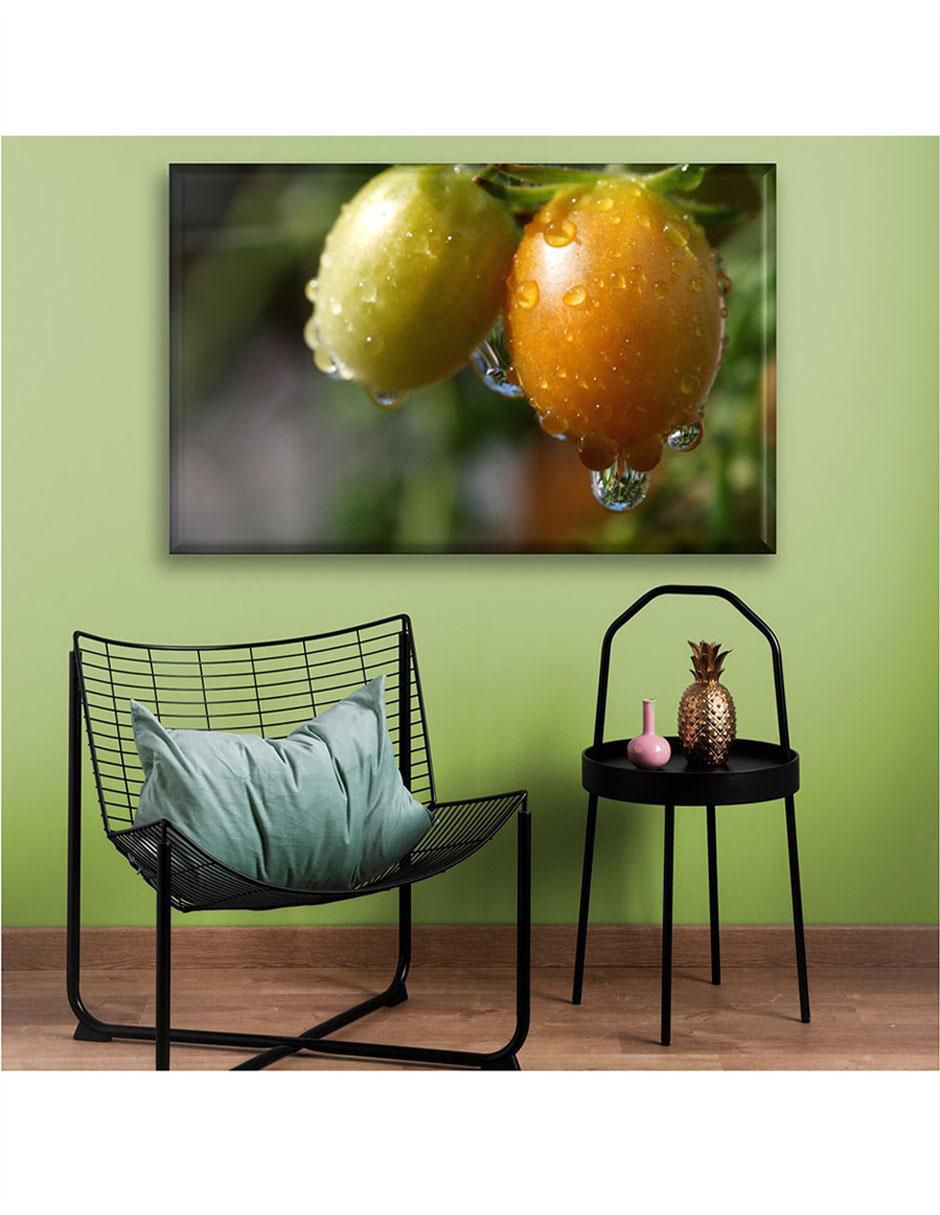 Cuadro decorativo Cosecha de jitomates 5