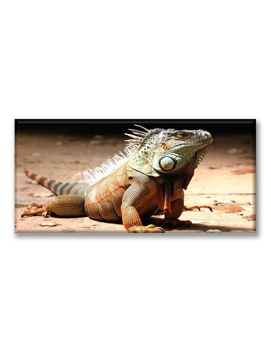 Cuadro decorativo Iguana 1